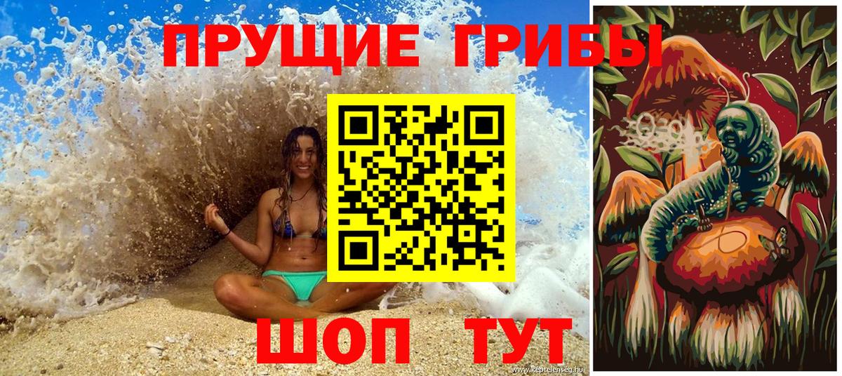 Псилоцибиновые грибы Cubensis Лобня